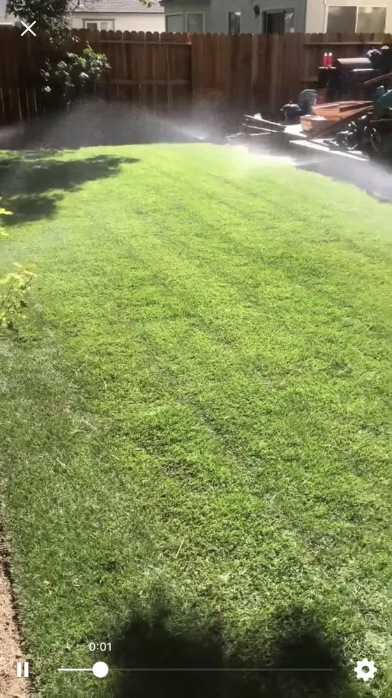 Expert yard maintenance in Yerington, NV - High Desert Turf