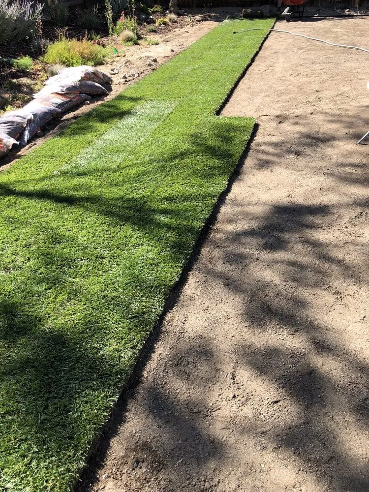 Affordable landscape installation experts serving Yerington, NV - High Desert Turf