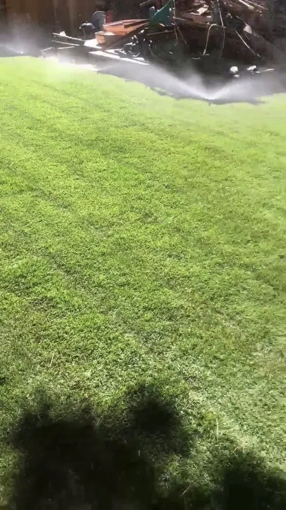 Affordable lawn care service experts serving Yerington, NV - High Desert Turf