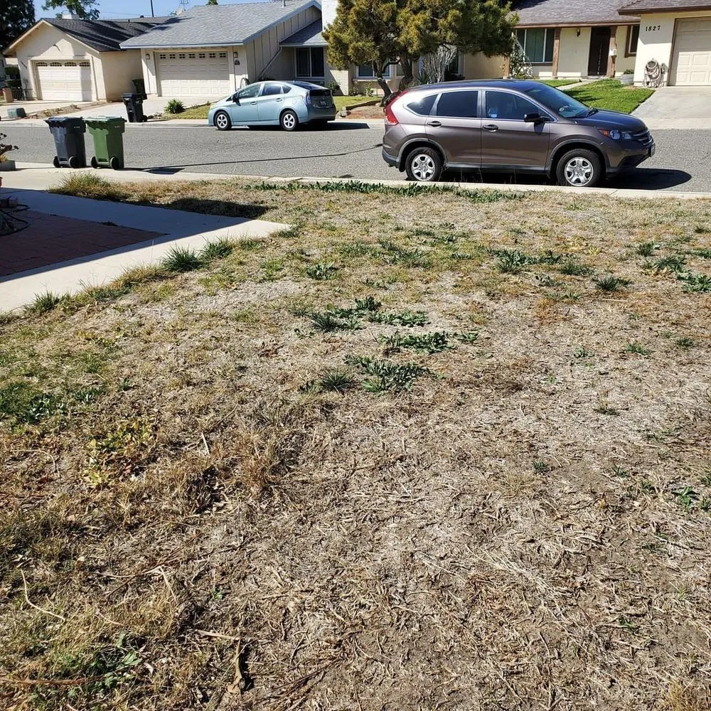 Custom landscape installation with custom design in Victorville, CA by High End Landscape