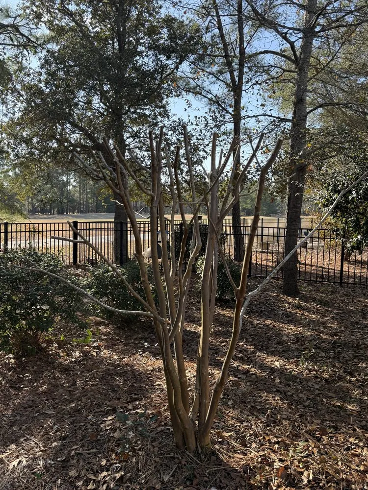 Reliable lawn care service for residential properties across Little River, SC - High End Landscaping