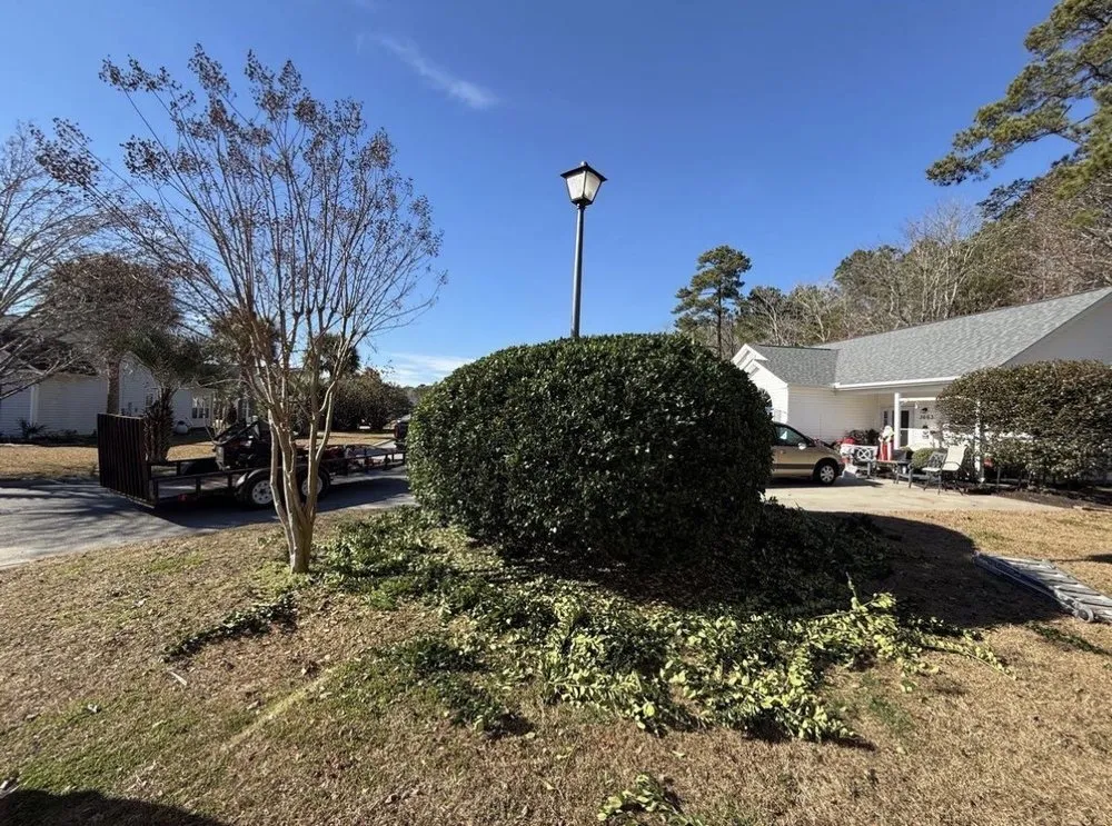 Affordable landscape installation experts serving Little River, SC - High End Landscaping