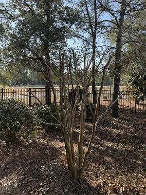 High End Landscaping