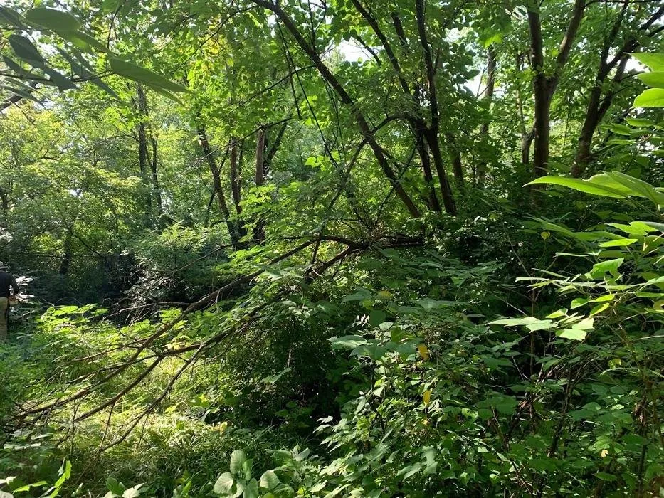 Affordable garden landscaping with custom design across St. Louis, MO - High End Outdoor Solutions