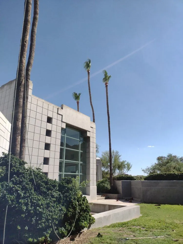 Trusted landscaping services for homes across Cave Creek, AZ - High End Tree Removal & Trimming