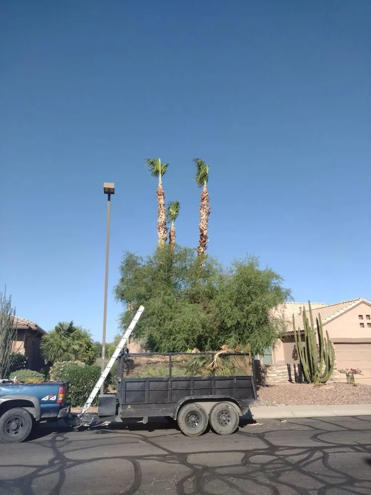 Expert garden landscaping experts serving Cave Creek, AZ - High End Tree Removal & Trimming