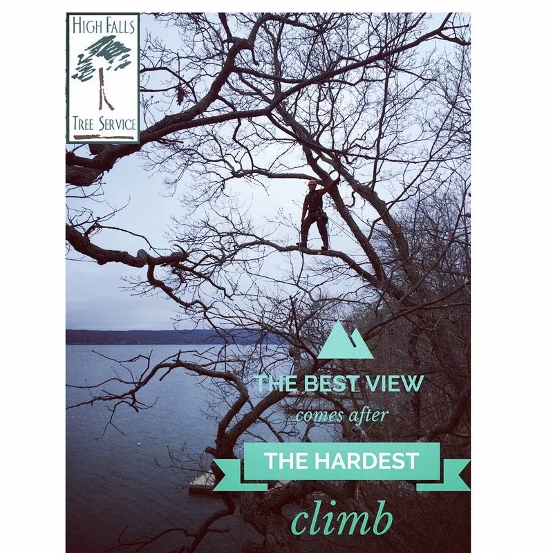 Expert outdoor landscaping for residential properties across Rochester, NY - High Falls Tree Service