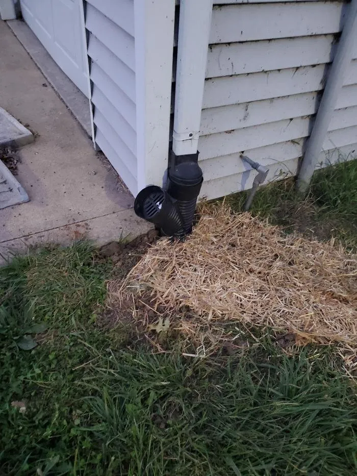 Local landscape installation for year-round maintenance across Kansas City, MO - High Flow Drainage Solutions