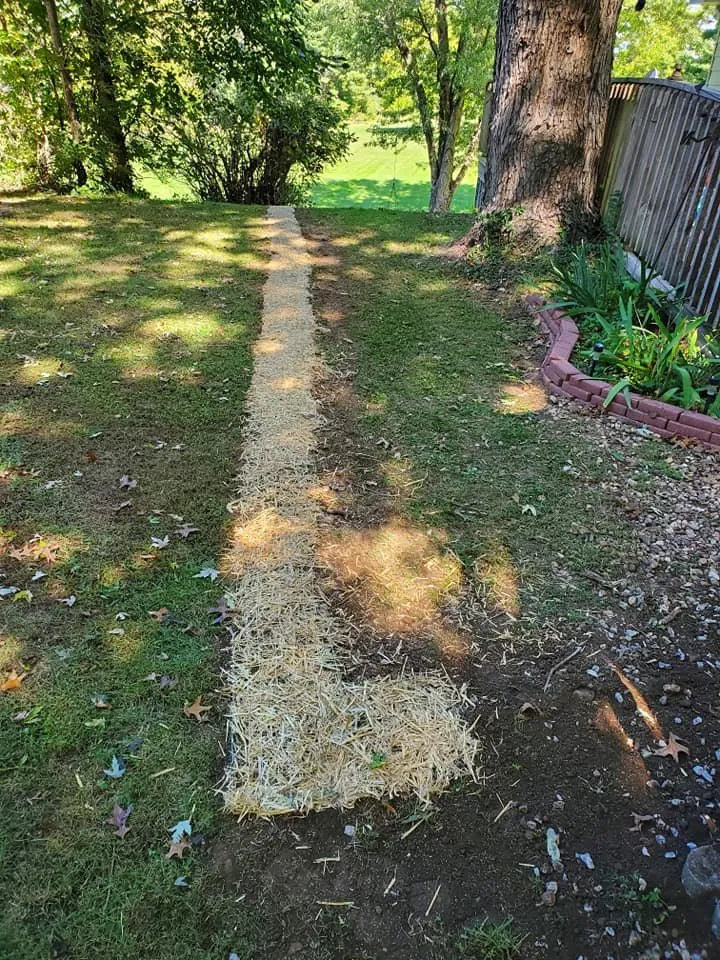 Local landscape design in Kansas City, MO by High Flow Drainage Solutions