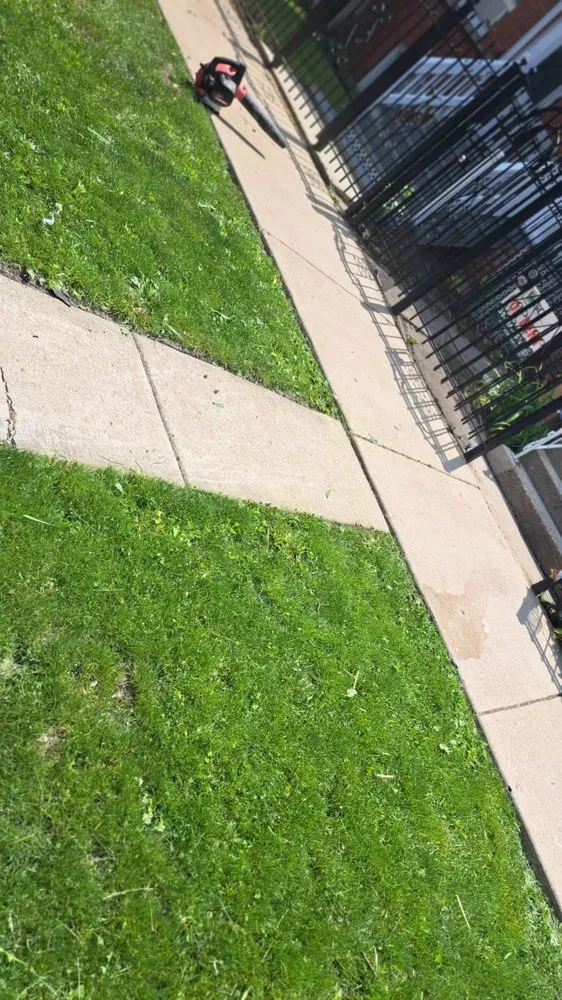 Affordable yard maintenance experts serving Chicago, IL - High Garden Landscaping