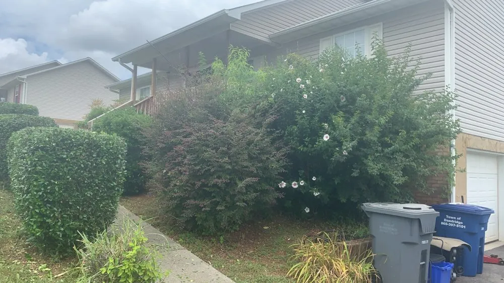 Affordable landscape design experts serving Dandridge, TN - High Grade Lawn Care