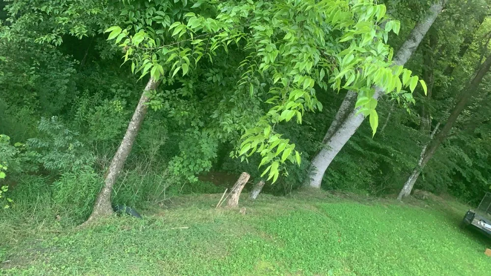 Custom yard maintenance experts serving Dandridge, TN - High Grade Lawn Care