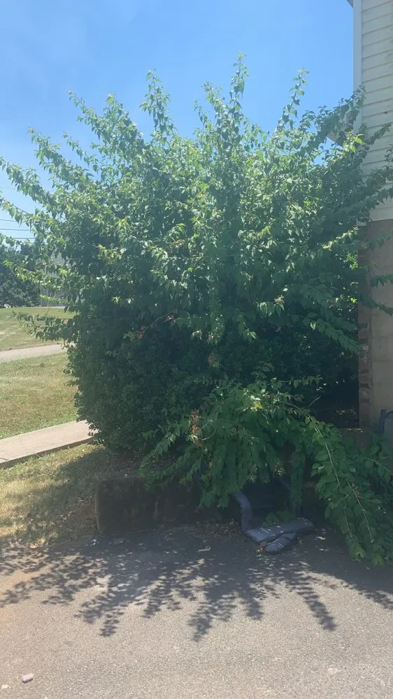 Custom outdoor landscaping near you in Dandridge, TN by High Grade Lawn Care