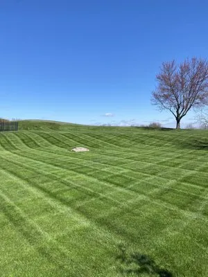 High Level Lawn Care Logo
