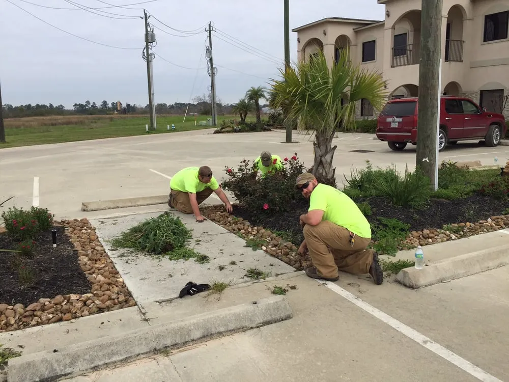 Local lawn care service in Humble, TX - High Maintenance