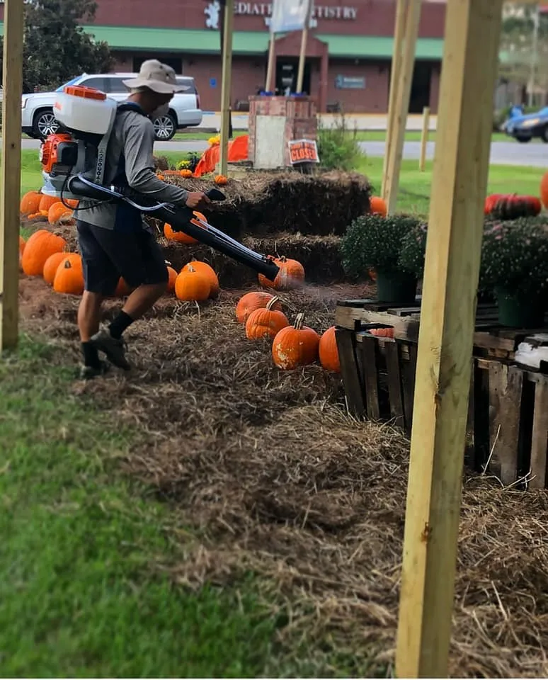 Affordable landscaping services experts serving Lake Charles, LA - High Maintenance