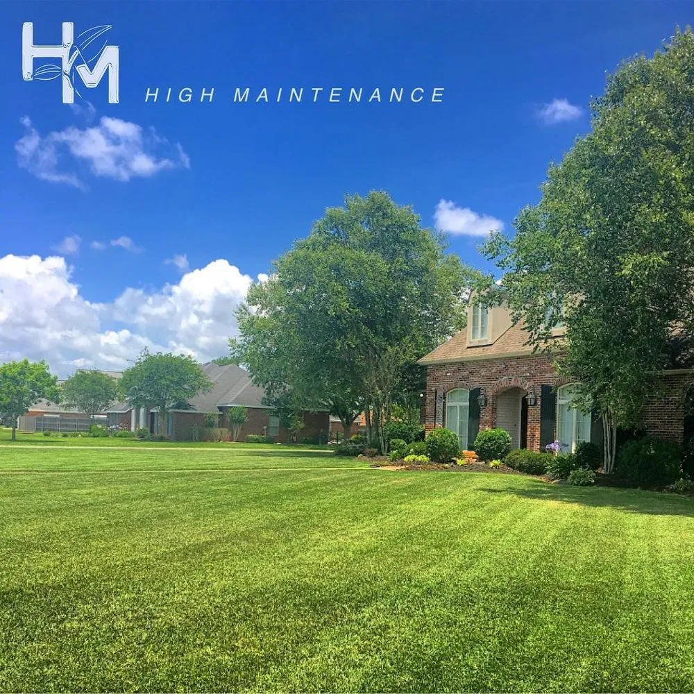 Trusted yard cleanup service experts serving Lake Charles, LA - High Maintenance