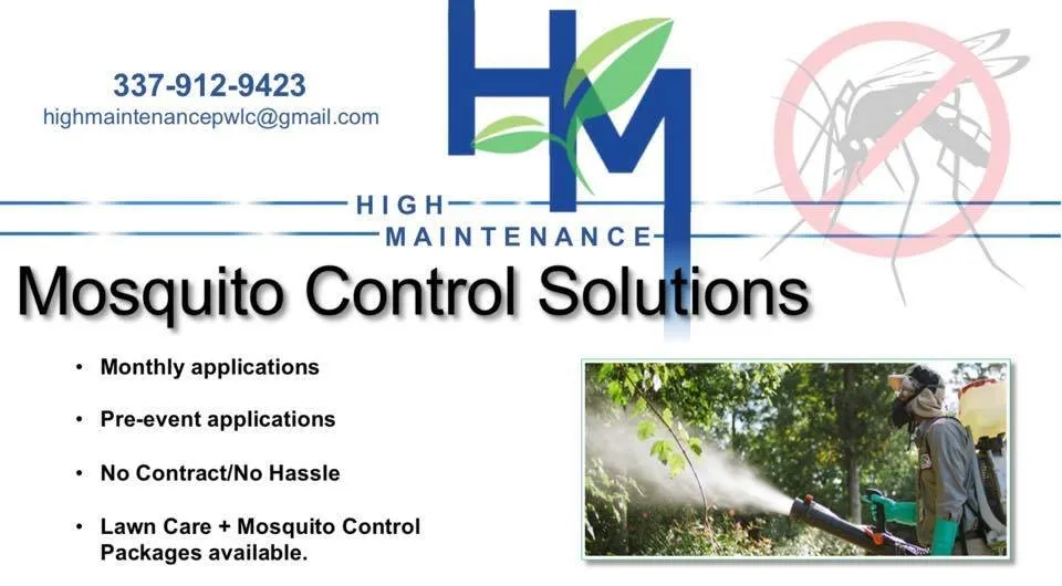 Affordable yard cleanup service experts serving Lake Charles, LA - High Maintenance