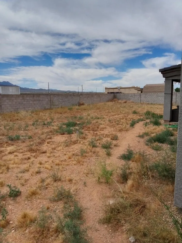 Professional landscape installation for homes in Kingman, AZ by High Maintenance Landscaping