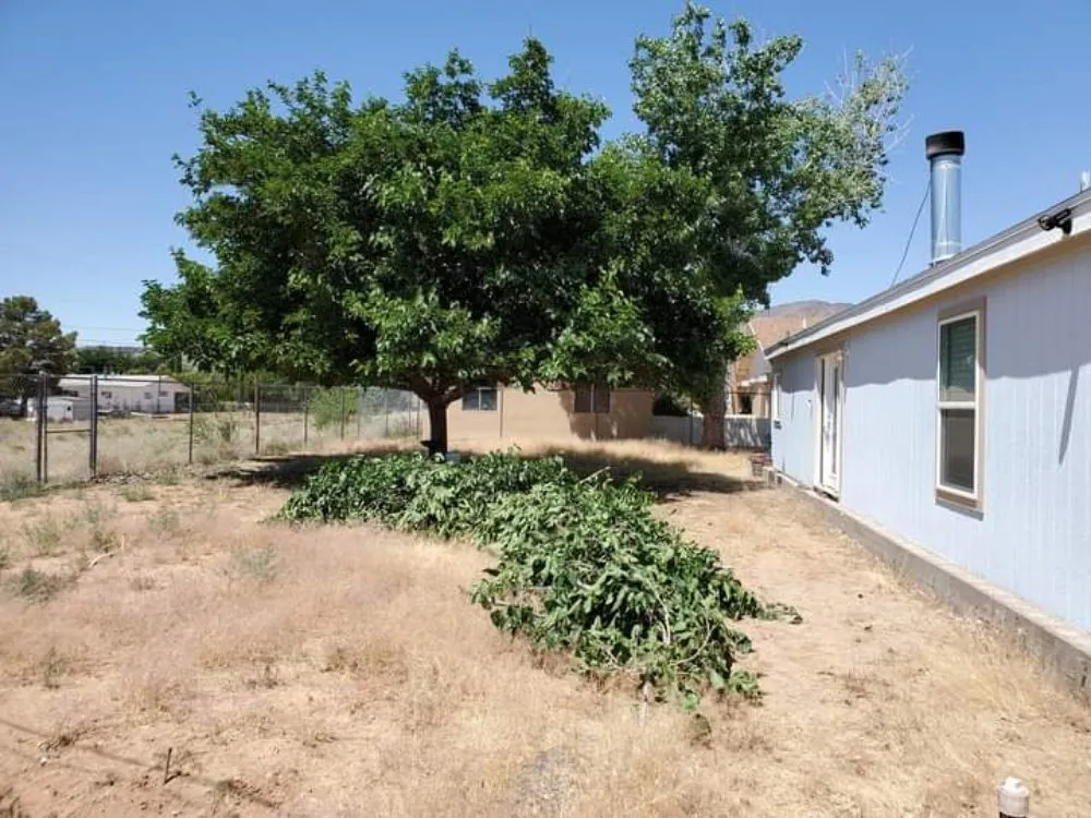 Affordable yard maintenance with custom design across Kingman, AZ - High Maintenance Landscaping