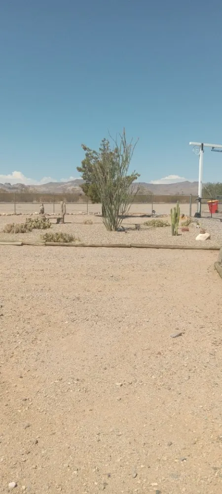 Custom lawn mowing service in Kingman, AZ - High Maintenance Landscaping