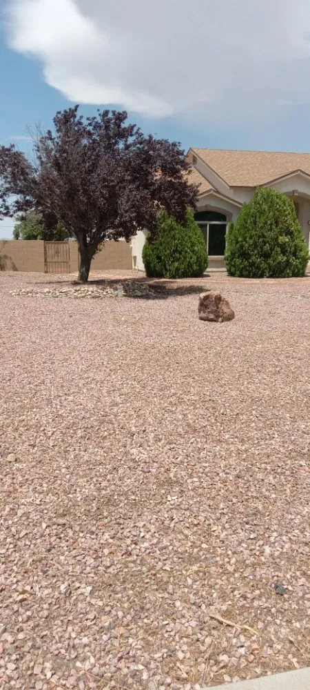 Trusted landscaping services for beautiful yards in Kingman, AZ by High Maintenance Landscaping