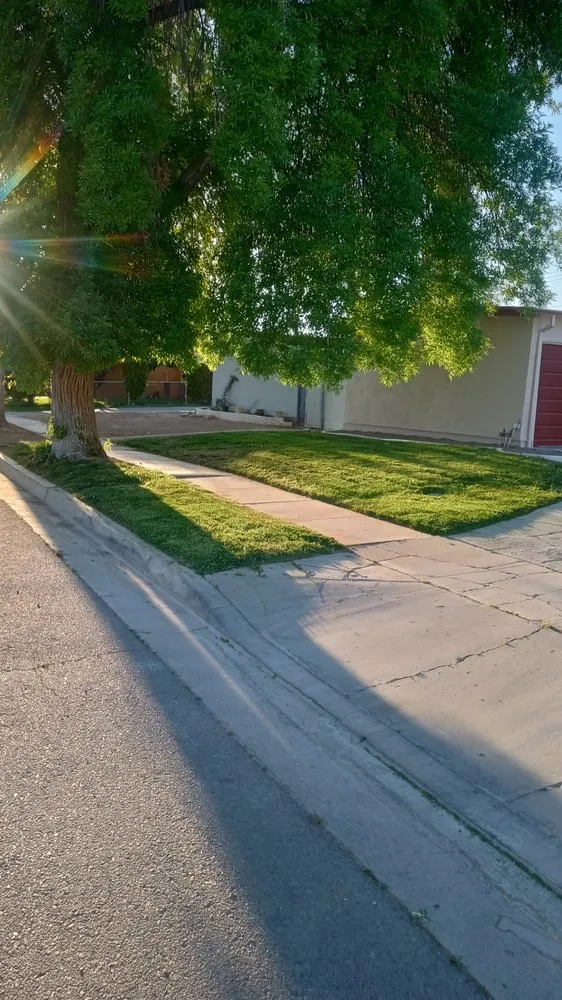 Affordable yard maintenance in Lancaster, CA by High Man Landscaping Services And Hauling