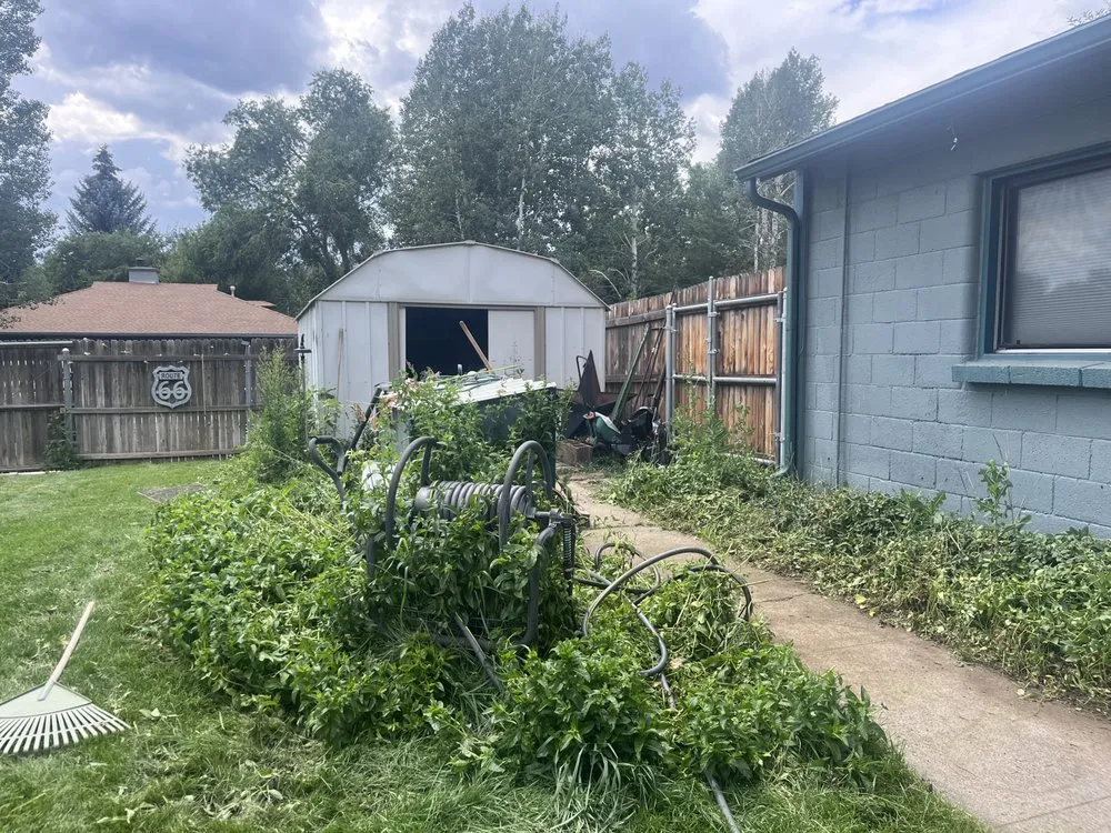 Professional lawn mowing service experts serving Flagstaff, AZ - High Mountain Cleaning