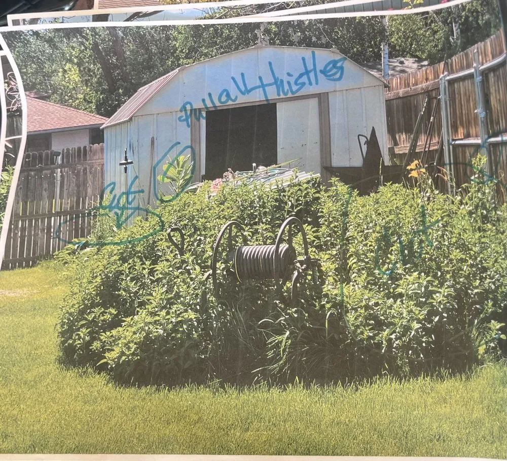 Reliable landscape design in Flagstaff, AZ - High Mountain Cleaning