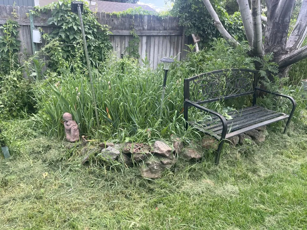 Professional landscape installation in Flagstaff, AZ by High Mountain Cleaning