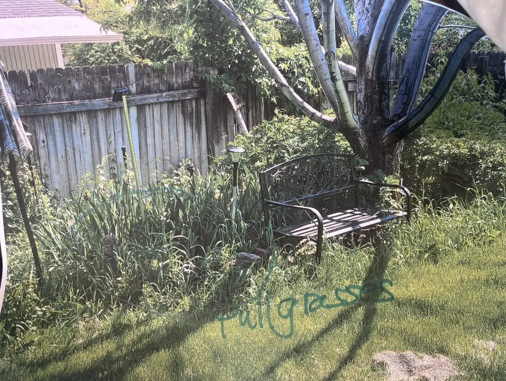 Top-rated landscape installation in Flagstaff, AZ - High Mountain Cleaning