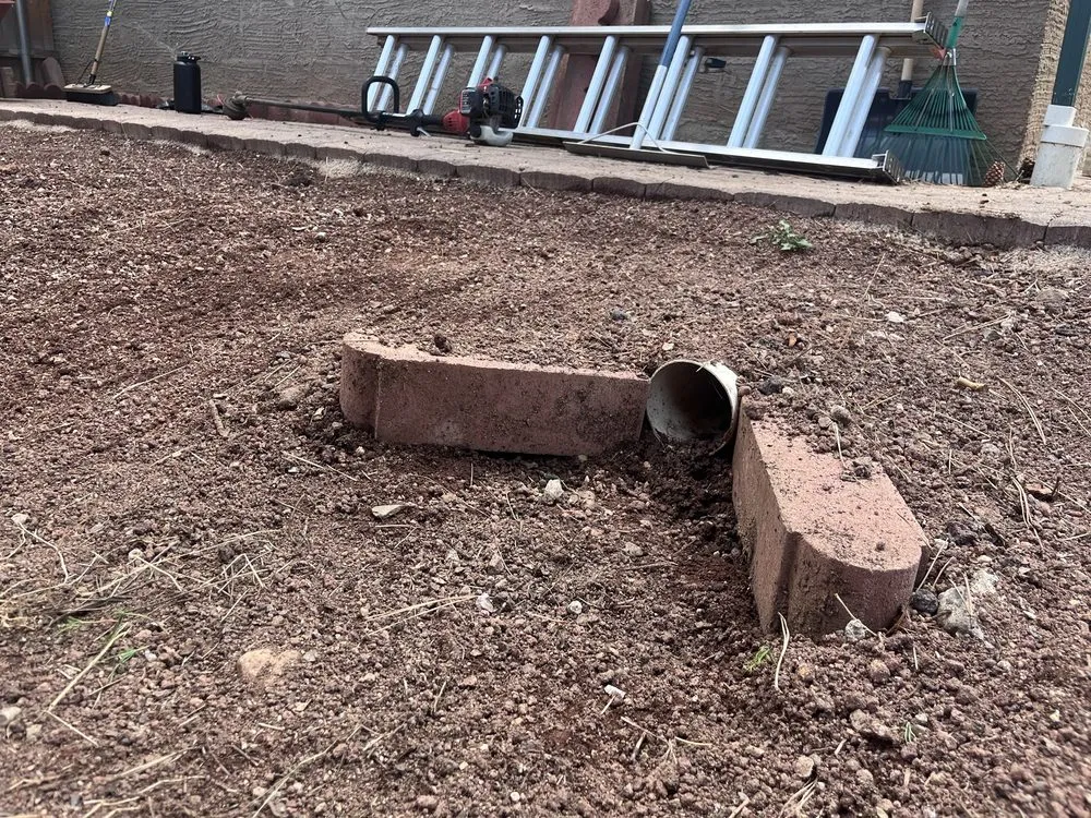 Expert yard maintenance with custom design in Flagstaff, AZ by High Mountain Cleaning