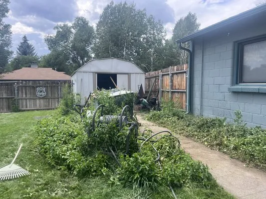 High Mountain Cleaning Logo