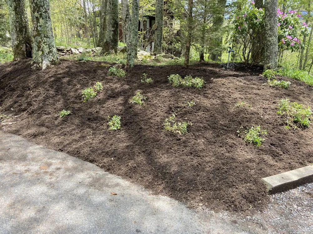 Reliable landscape installation for beautiful yards across Newland, NC - High Mountain Landscaping