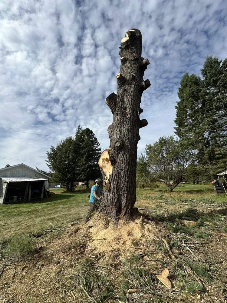 Custom outdoor landscaping for residential properties in Indian Lake, NY by High Mountain Tree Service