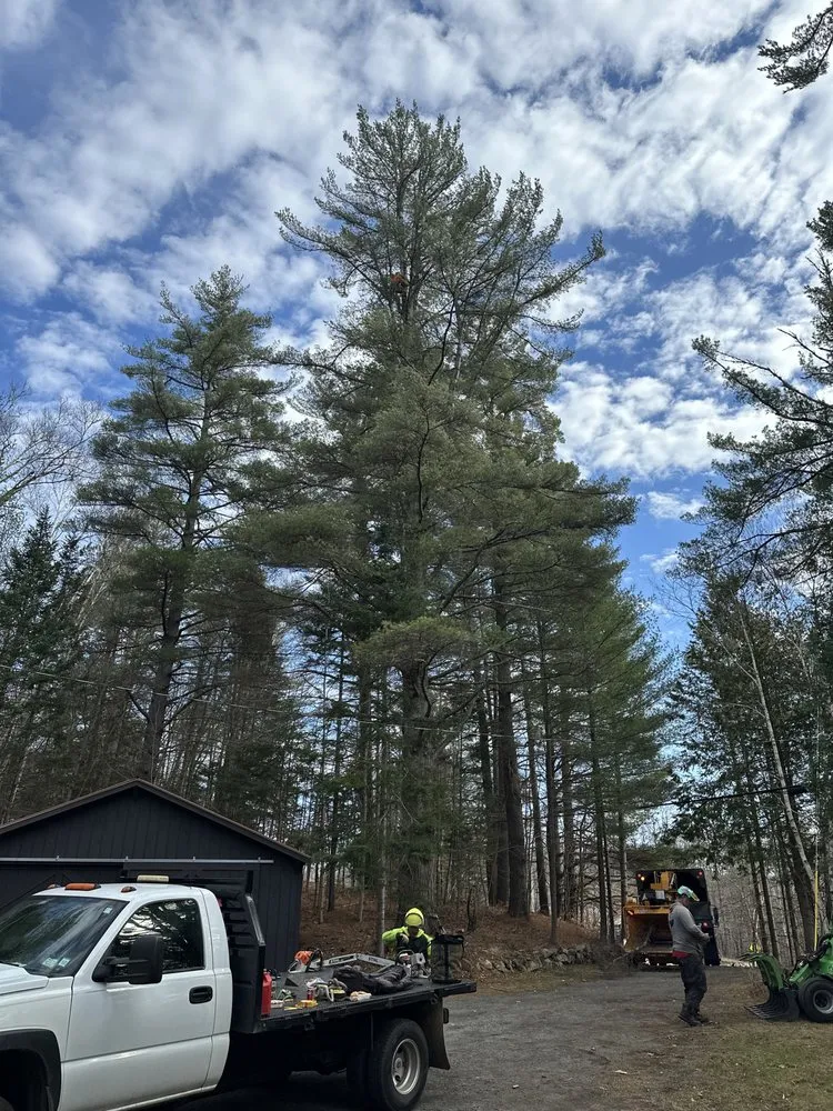 Expert landscaping services with custom design across Indian Lake, NY - High Mountain Tree Service