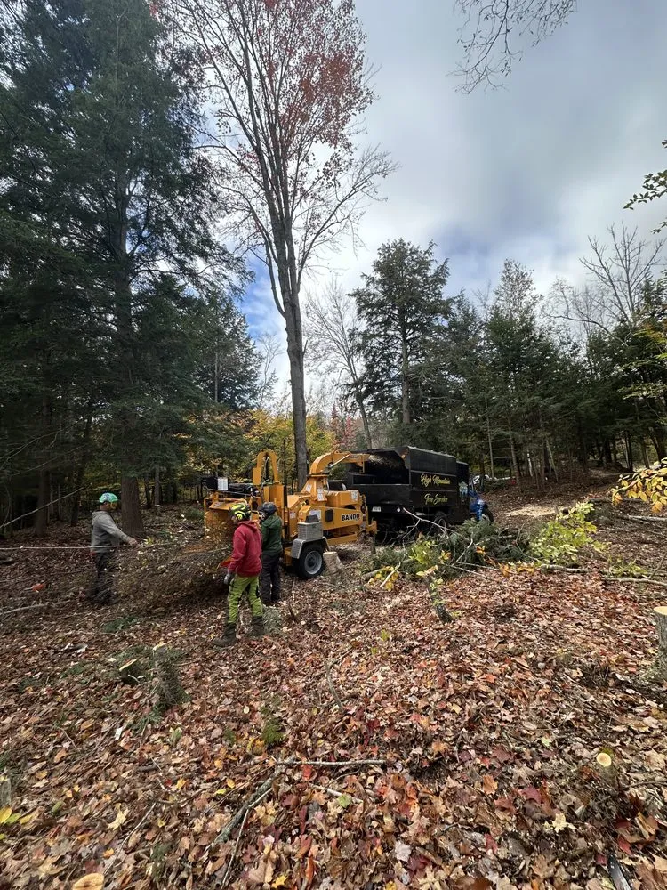 Reliable landscaping services for beautiful yards across Indian Lake, NY - High Mountain Tree Service