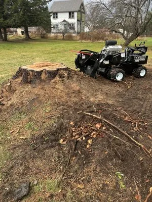 High Mountain Tree Service