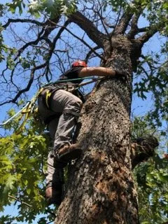 Top-rated yard maintenance with custom design across Streetman, TX - High N Tight Yards