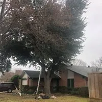 Affordable landscaping services in Streetman, TX - High N Tight Yards