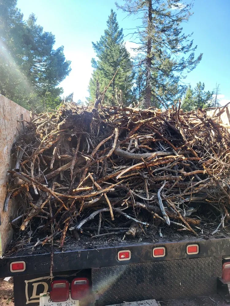 Custom yard maintenance experts serving Pine, CO - High Peaks Junk Removal