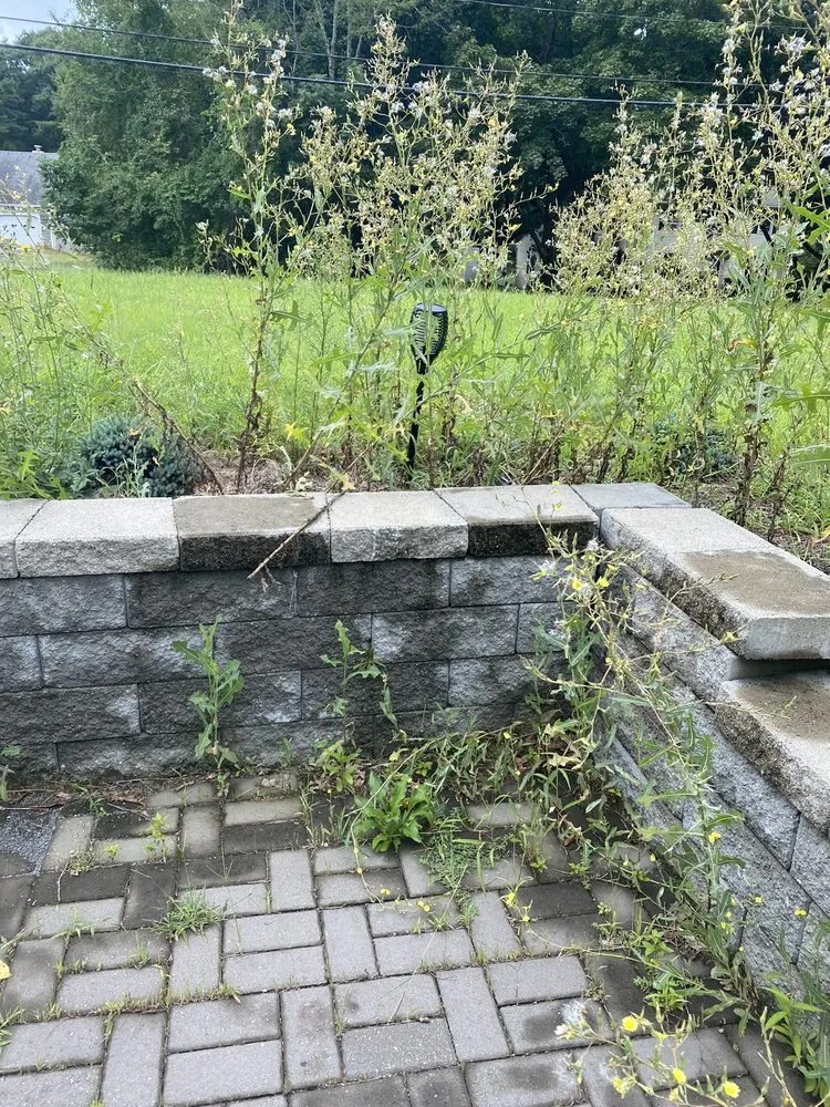 Professional lawn care service experts serving Rockland, MA - High Performance Landscaping