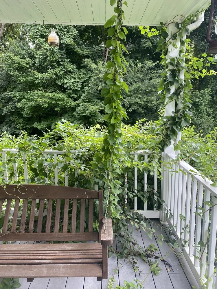 Trusted landscaping services in Rockland, MA - High Performance Landscaping