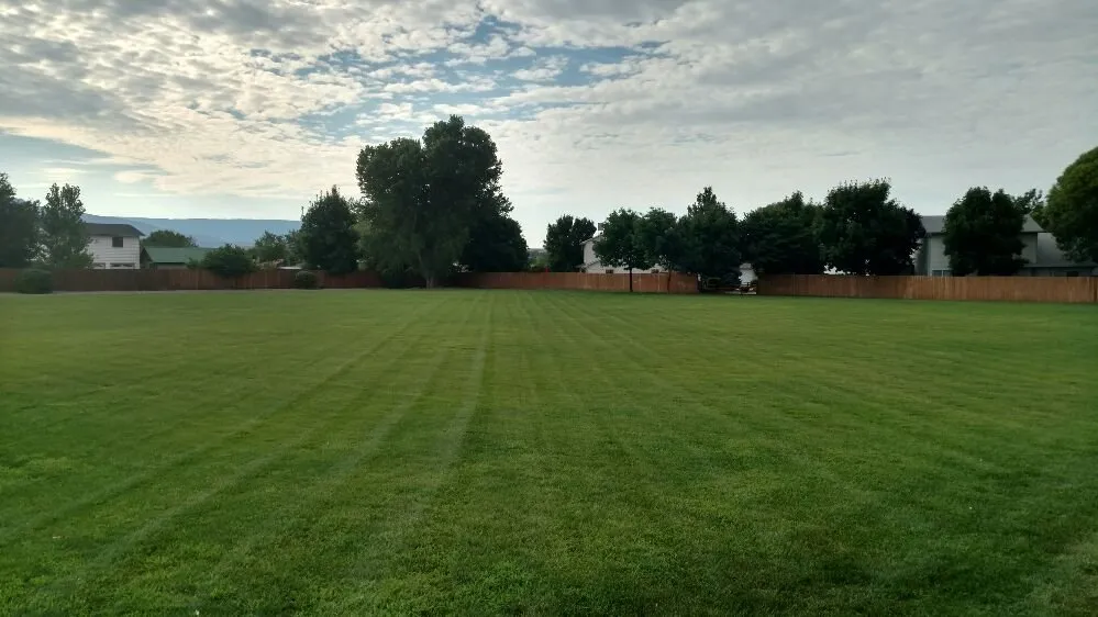 Top-rated yard cleanup service for year-round maintenance across Grand Junction, CO - High Performance Lawn Care