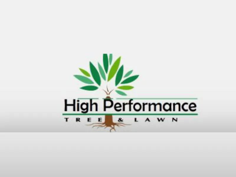 Reliable outdoor landscaping near you in Boca Raton, FL by High Performance Lawn Services