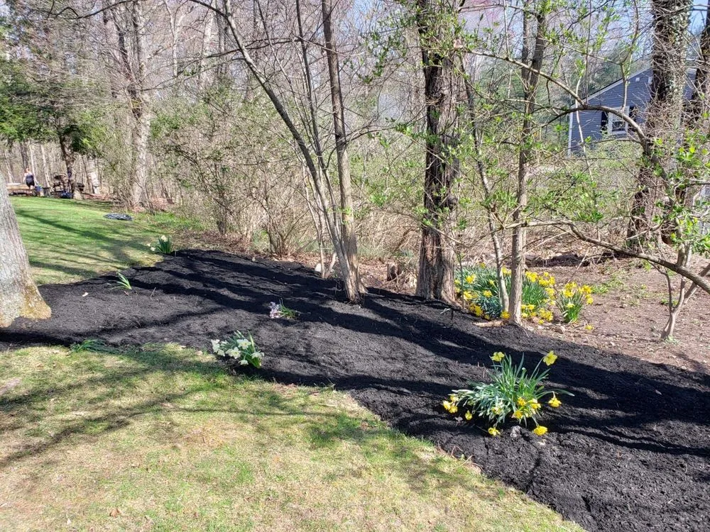 Local yard cleanup service near you in Rockland, MA by High Performance Tree & Lawn