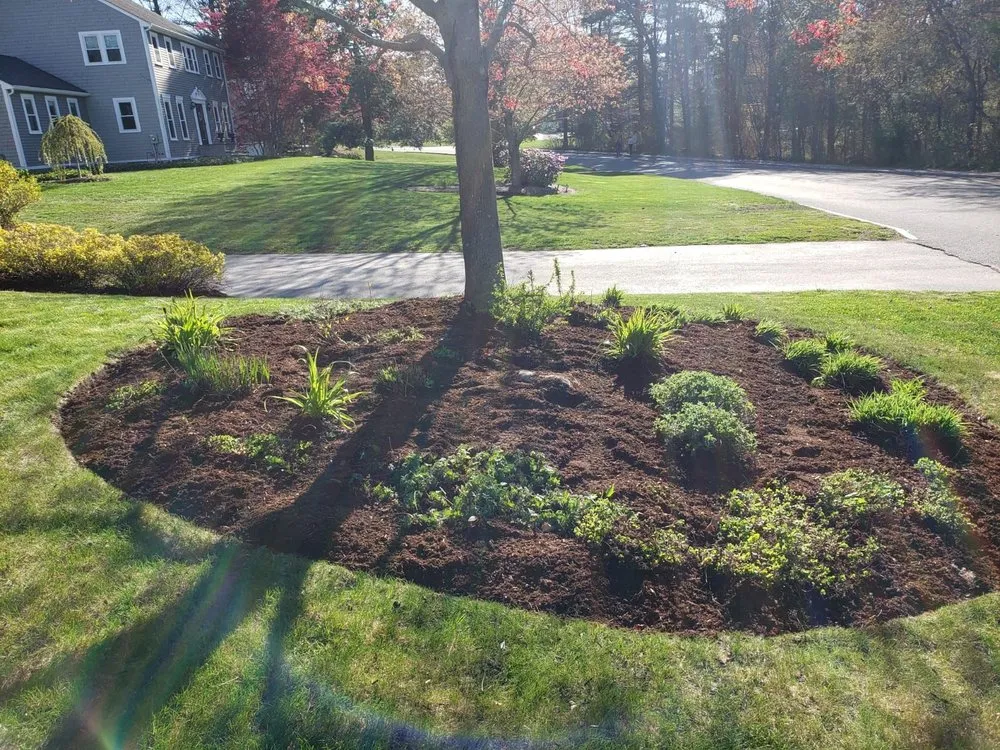 Affordable lawn mowing service in Rockland, MA - High Performance Tree & Lawn
