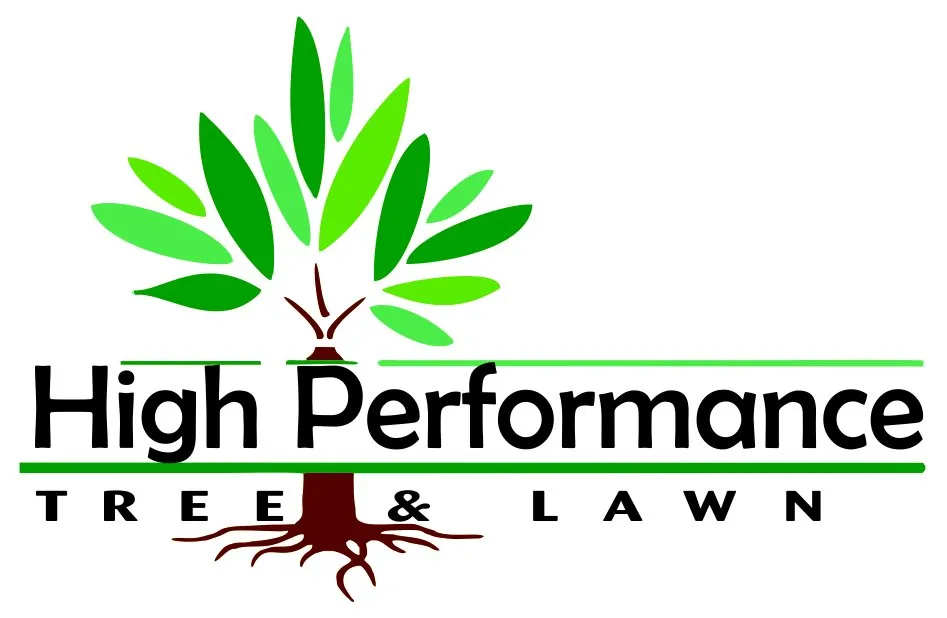 Reliable yard cleanup service experts serving Rockland, MA - High Performance Tree & Lawn