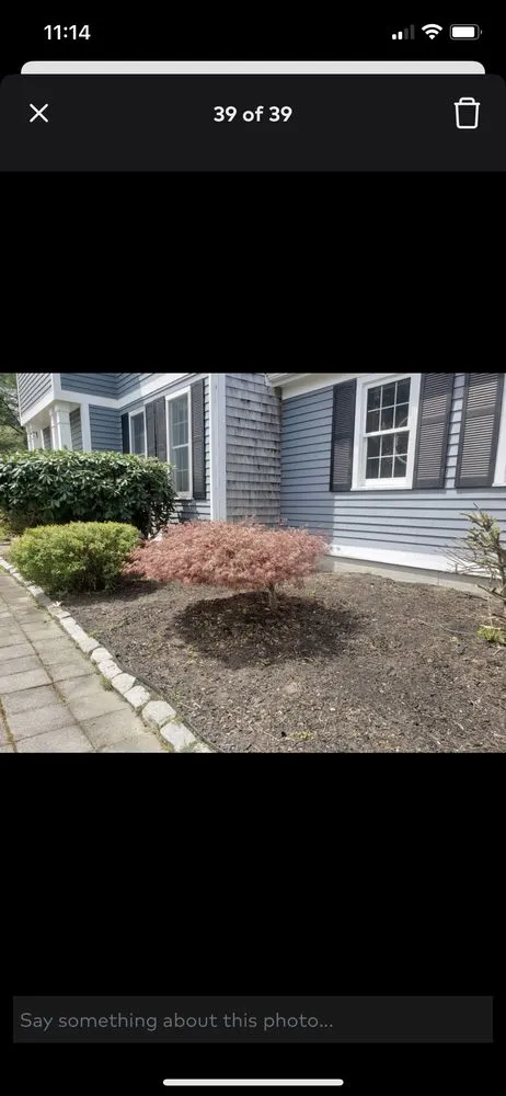 Local lawn mowing service for year-round maintenance in Rockland, MA by High Performance Tree & Lawn