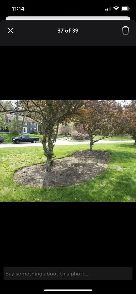 Local lawn mowing service in Rockland, MA - High Performance Tree & Lawn